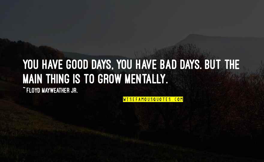 Beach Resorts Quotes By Floyd Mayweather Jr.: You have good days, you have bad days.