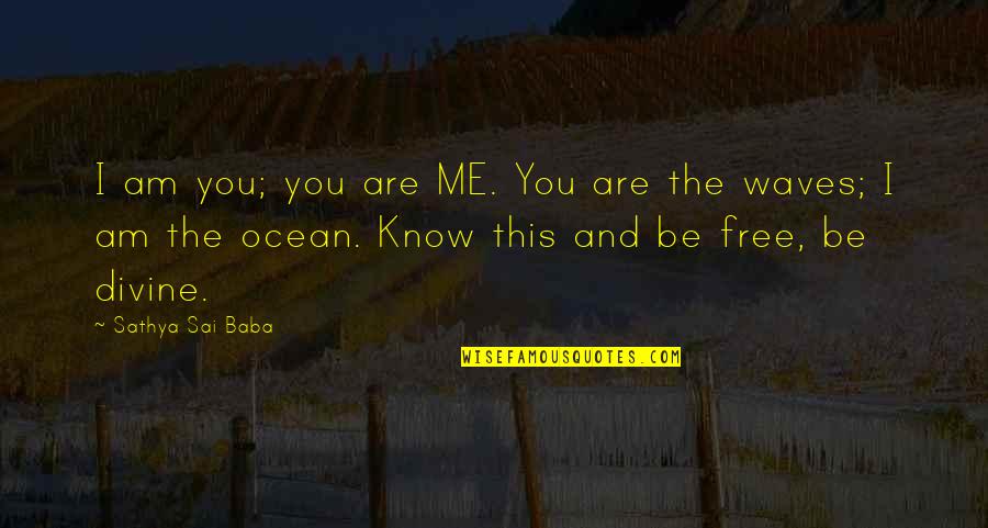 Beach Waves Quotes By Sathya Sai Baba: I am you; you are ME. You are