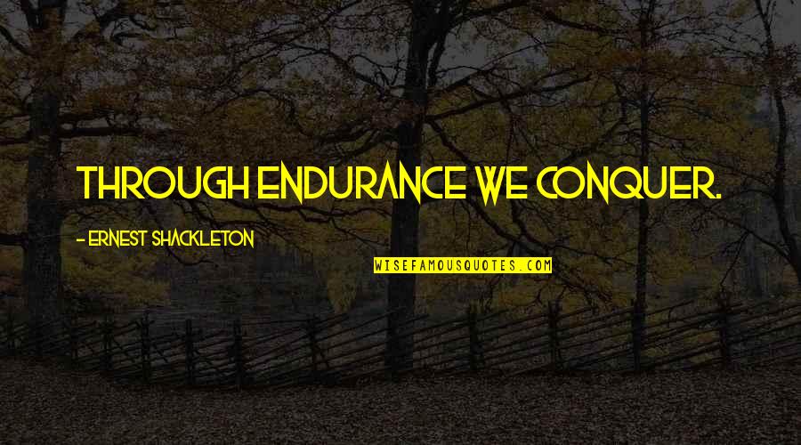 Beachy Christmas Quotes By Ernest Shackleton: Through endurance we conquer.