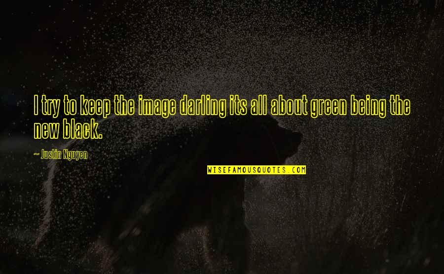 Beacock Music Quotes By Justin Nguyen: I try to keep the image darling its