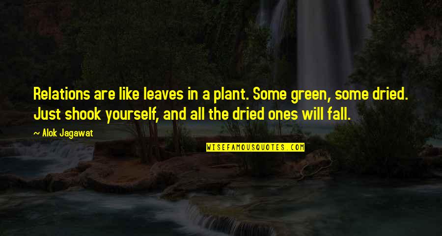 Beaded Jewelry Quotes By Alok Jagawat: Relations are like leaves in a plant. Some