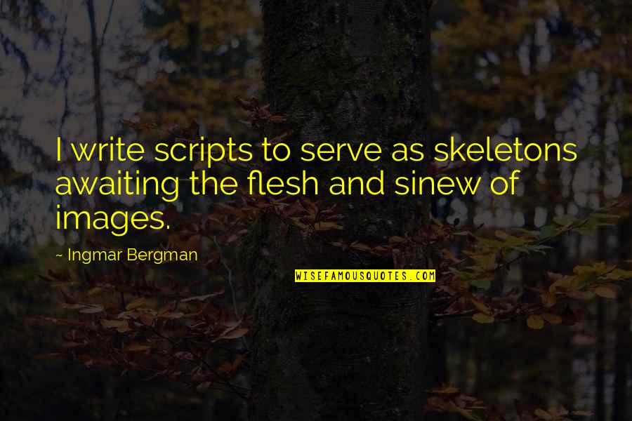 Beading Quotes By Ingmar Bergman: I write scripts to serve as skeletons awaiting