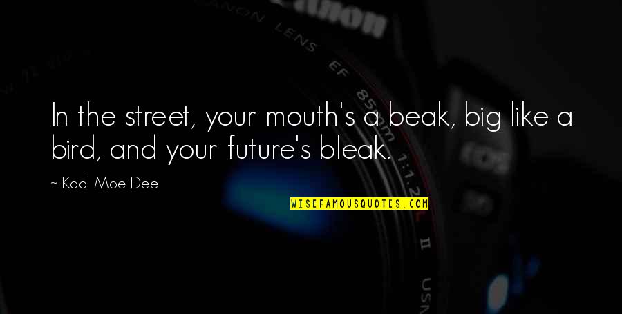 Beak Quotes By Kool Moe Dee: In the street, your mouth's a beak, big