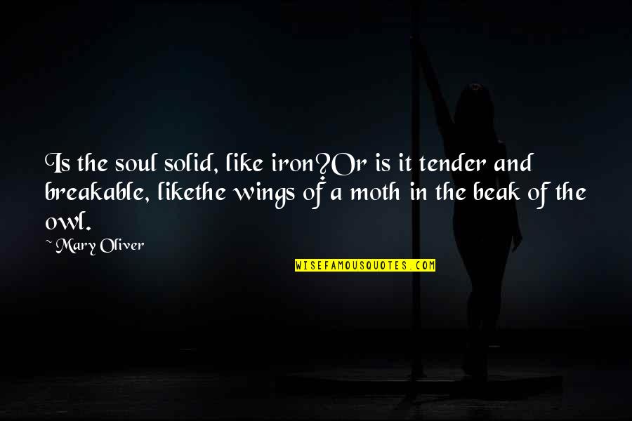 Beak Quotes By Mary Oliver: Is the soul solid, like iron?Or is it