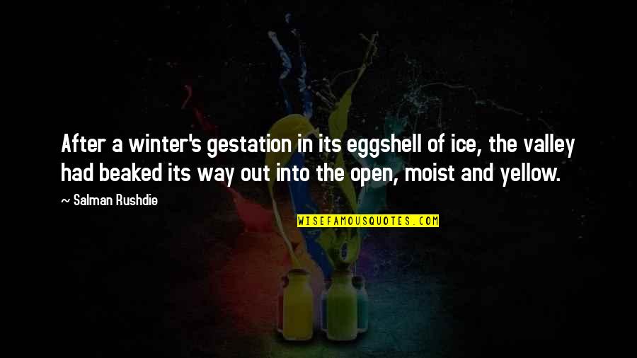 Beaked Quotes By Salman Rushdie: After a winter's gestation in its eggshell of