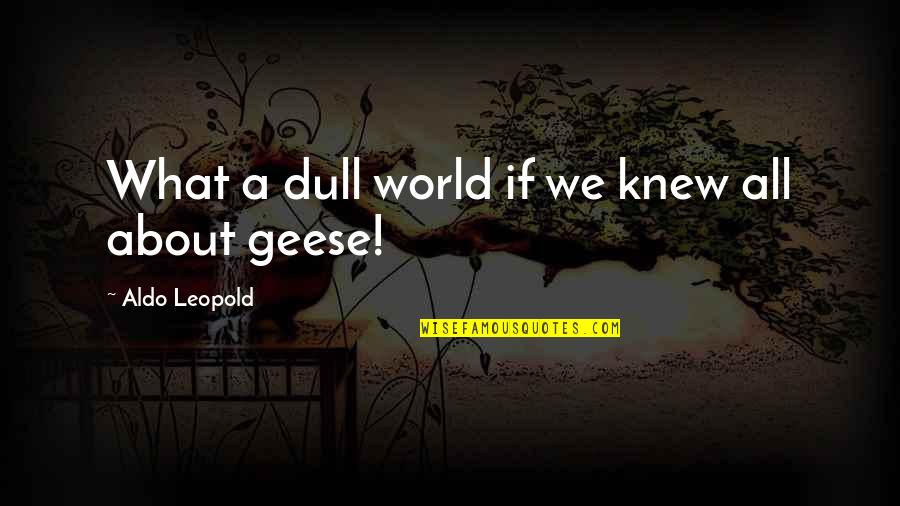 Bealls Credit Card Quotes By Aldo Leopold: What a dull world if we knew all Bealls Credit Card Quotes By Aldo Leopold: What a dull world if we knew all