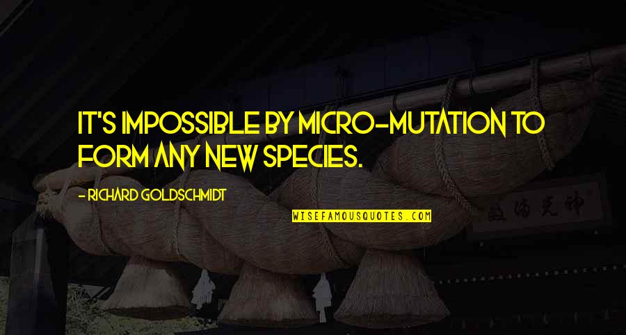 Beals Quotes By Richard Goldschmidt: It's impossible by micro-mutation to form any new