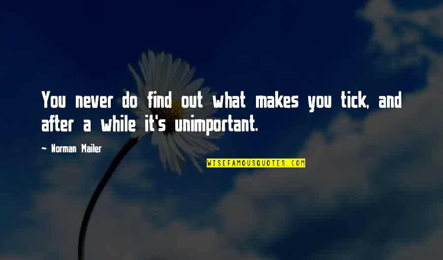 Beaman Dodge Quotes By Norman Mailer: You never do find out what makes you