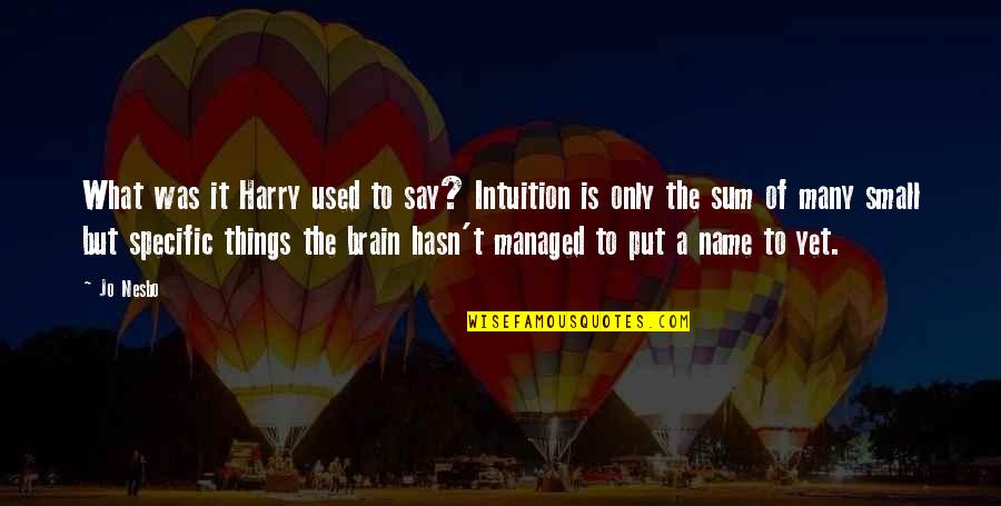 Beaming Smile Quotes By Jo Nesbo: What was it Harry used to say? Intuition