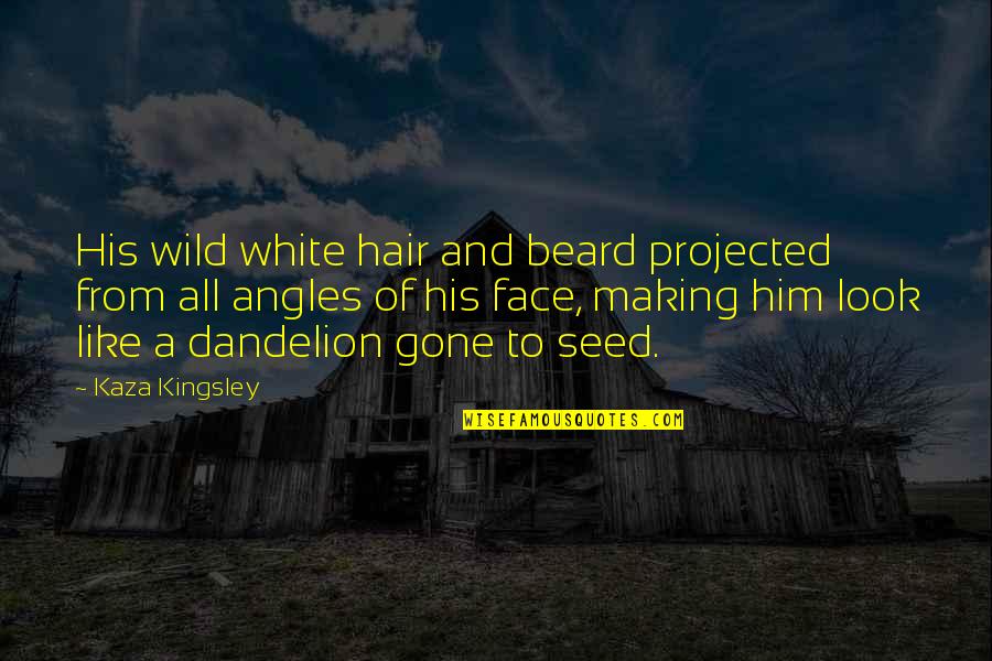 Beard Look Quotes By Kaza Kingsley: His wild white hair and beard projected from