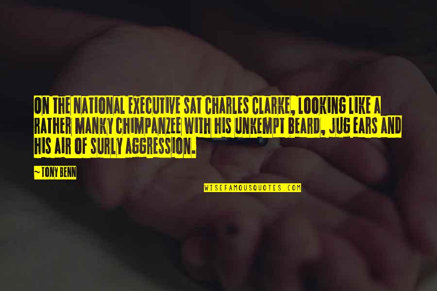 Beard Quotes By Tony Benn: On the National Executive sat Charles Clarke, looking