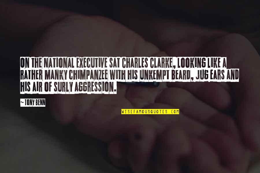 Beard'll Quotes By Tony Benn: On the National Executive sat Charles Clarke, looking