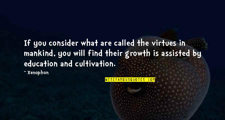 Beards In Islam Quotes By Xenophon: If you consider what are called the virtues