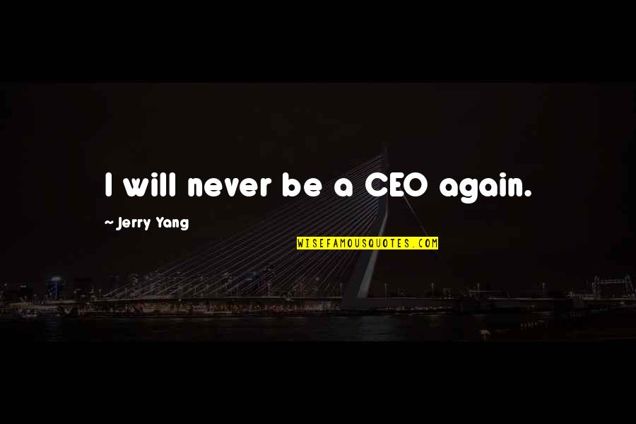 Bearing Burden Quotes By Jerry Yang: I will never be a CEO again.