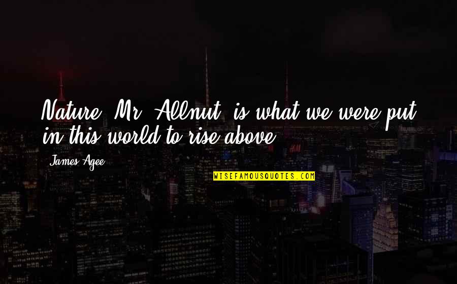 Beaser Hush Quotes By James Agee: Nature, Mr. Allnut, is what we were put