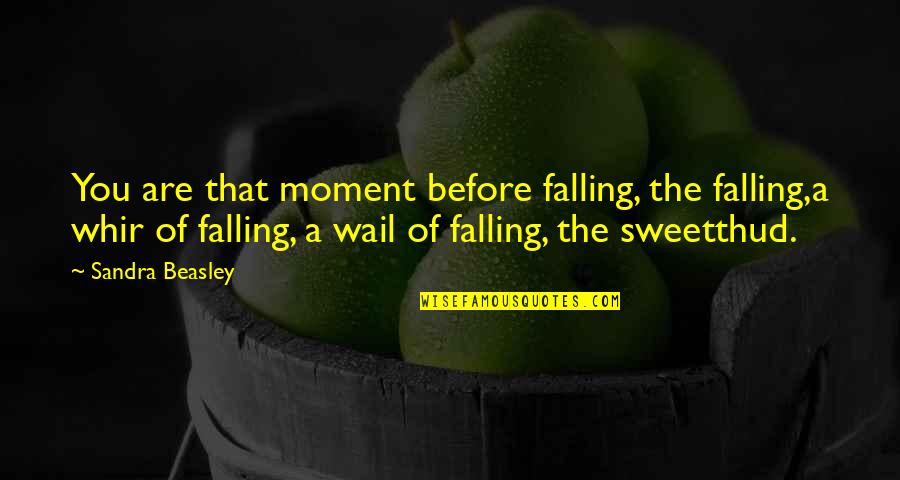 Beasley's Quotes By Sandra Beasley: You are that moment before falling, the falling,a