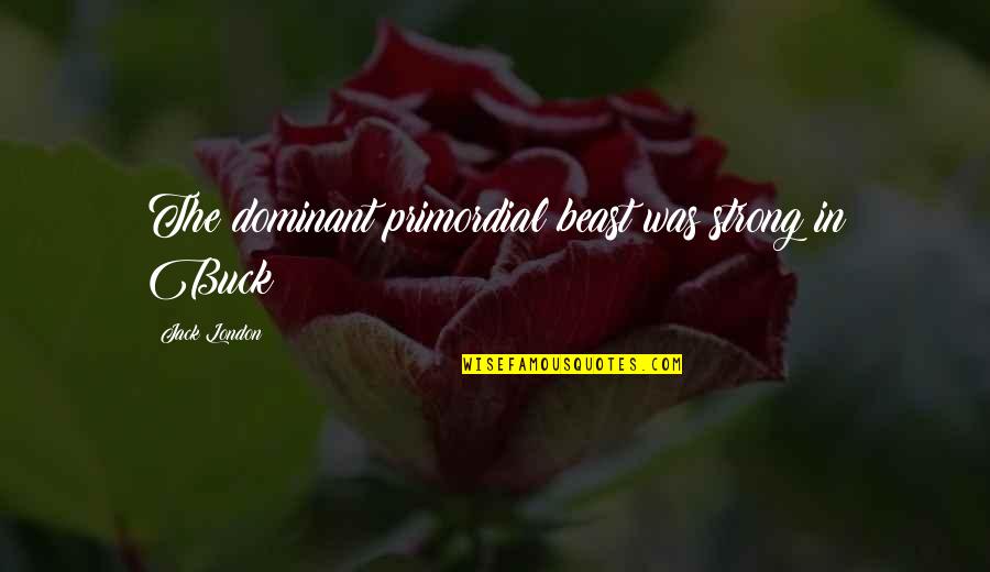 Beast Of London Quotes By Jack London: The dominant primordial beast was strong in Buck