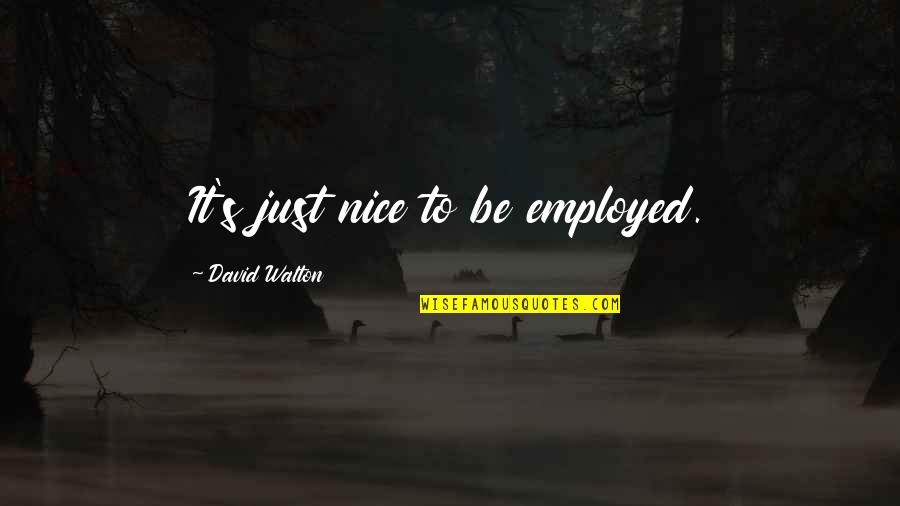 Beast Partner Quotes By David Walton: It's just nice to be employed.