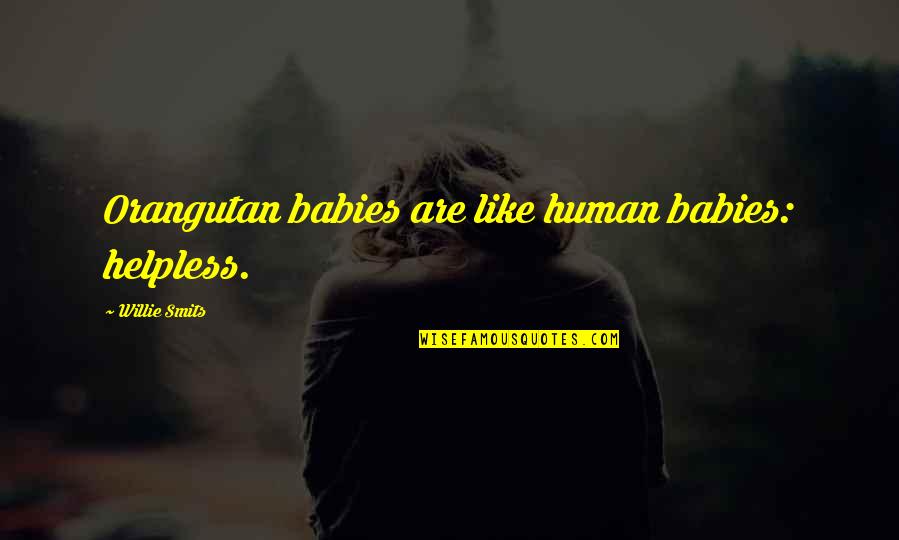 Beastliest Quotes By Willie Smits: Orangutan babies are like human babies: helpless. Beastliest Quotes By Willie Smits: Orangutan babies are like human babies: helpless.