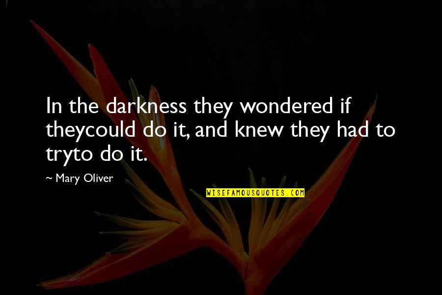 Beat Fear Quotes By Mary Oliver: In the darkness they wondered if theycould do