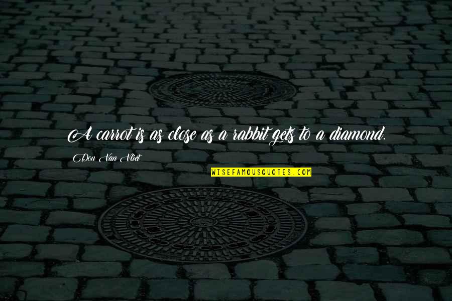 Beat The Summer Quotes By Don Van Vliet: A carrot is as close as a rabbit Beat The Summer Quotes By Don Van Vliet: A carrot is as close as a rabbit