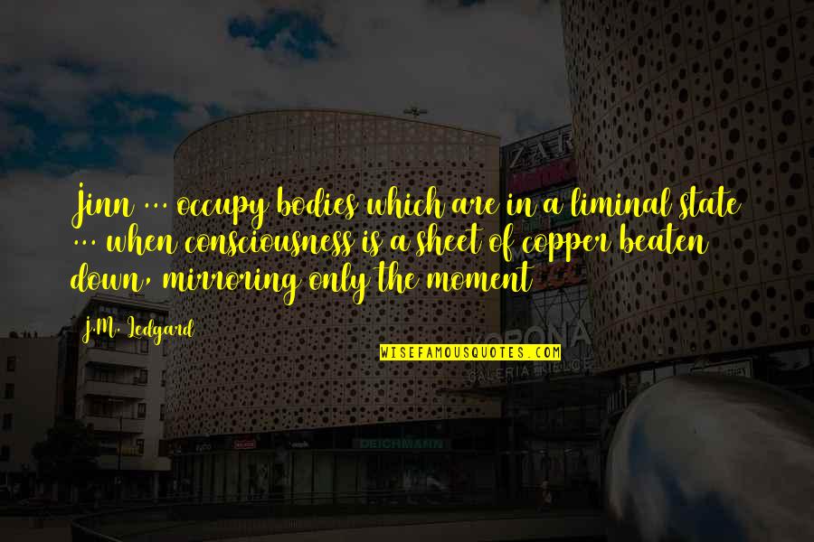 Beaten Down Quotes By J.M. Ledgard: Jinn ... occupy bodies which are in a