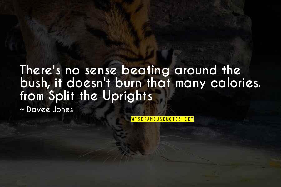 Beating Around The Bush Quotes By Davee Jones: There's no sense beating around the bush, it