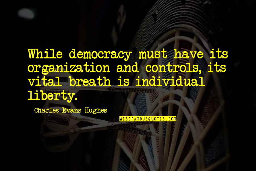 Beating Bulimia Quotes By Charles Evans Hughes: While democracy must have its organization and controls,