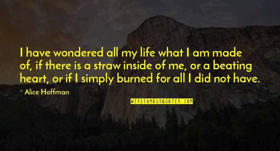 Beating Life Quotes By Alice Hoffman: I have wondered all my life what I