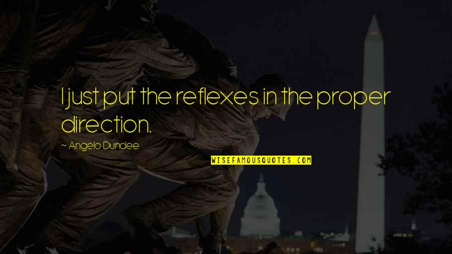 Beating Your Opponent Quotes By Angelo Dundee: I just put the reflexes in the proper