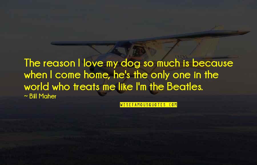 Beatles Love Quotes By Bill Maher: The reason I love my dog so much