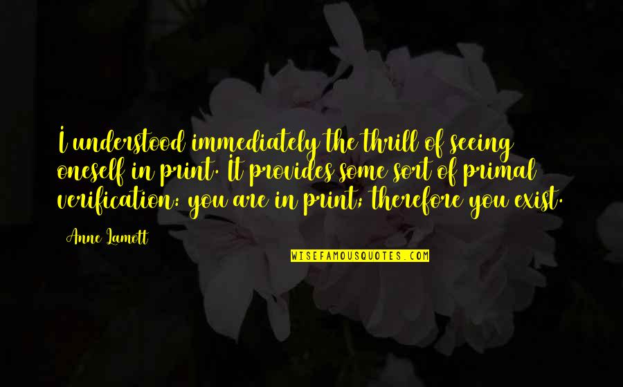 Beatles Memes Quotes By Anne Lamott: I understood immediately the thrill of seeing oneself