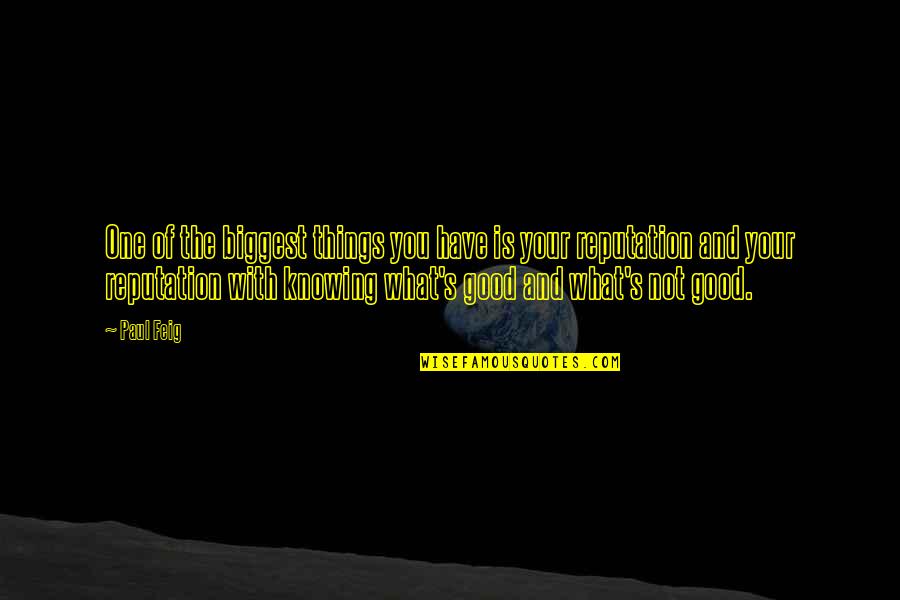 Beau Monde Dip Quotes By Paul Feig: One of the biggest things you have is
