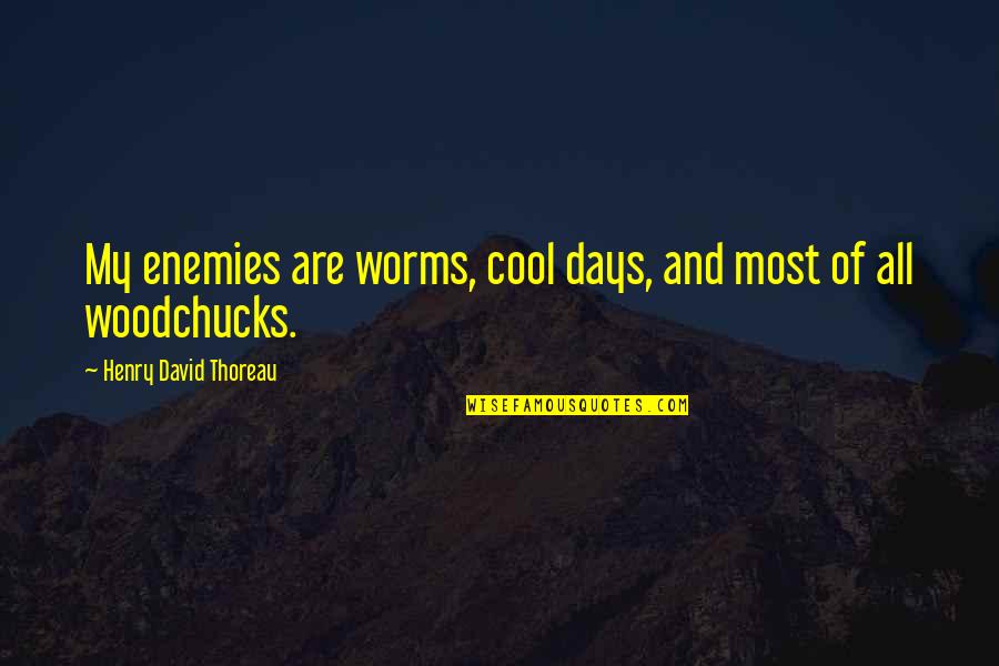 Beaubois Construction Quotes By Henry David Thoreau: My enemies are worms, cool days, and most