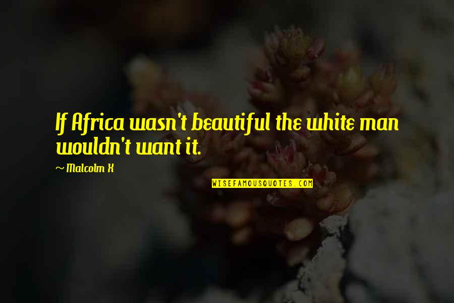 Beautiful Africa Quotes By Malcolm X: If Africa wasn't beautiful the white man wouldn't