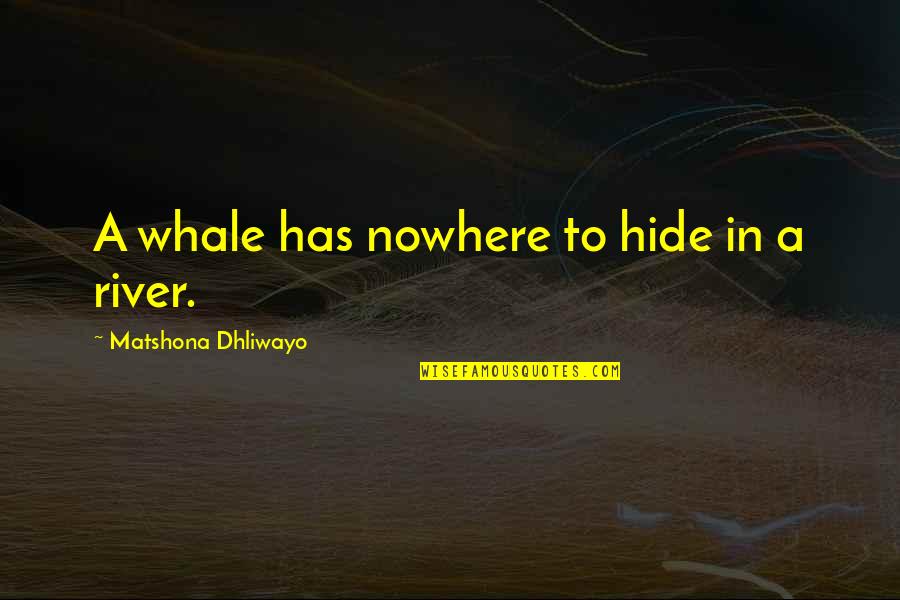 Beautiful Allure Quotes By Matshona Dhliwayo: A whale has nowhere to hide in a