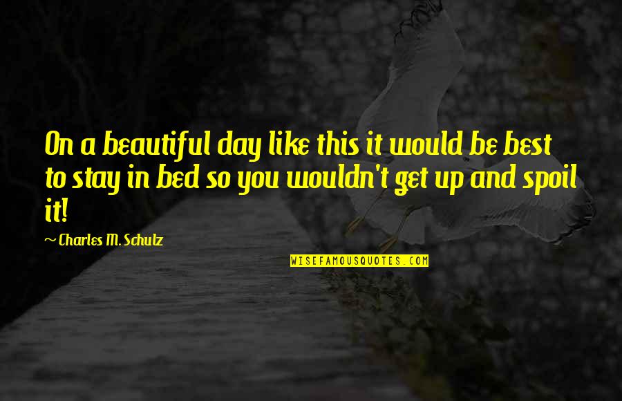 Beautiful And Best Quotes By Charles M. Schulz: On a beautiful day like this it would