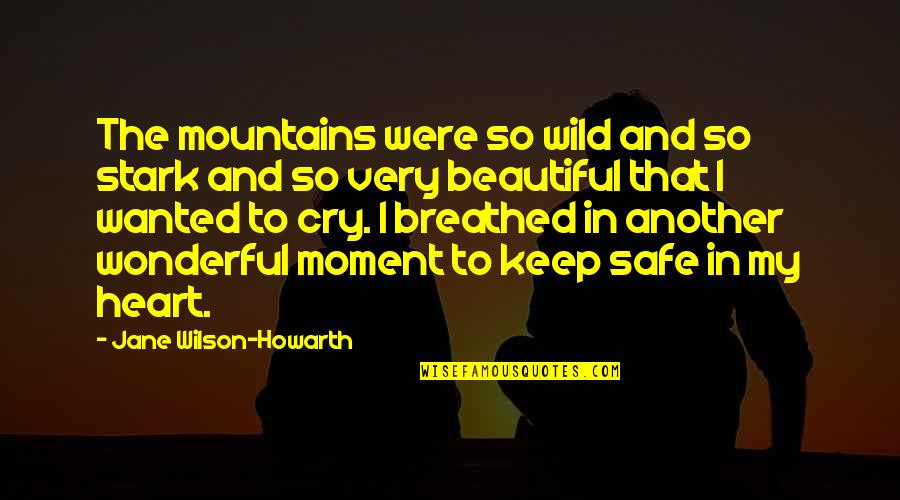 Beautiful And Inspirational Quotes By Jane Wilson-Howarth: The mountains were so wild and so stark