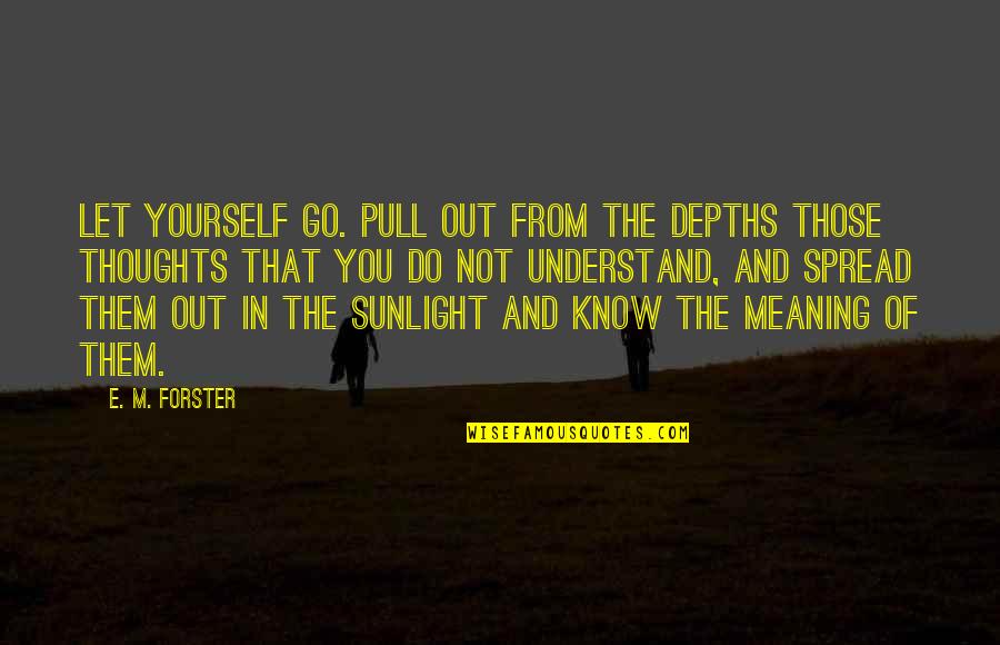 Beautiful And Meaning Quotes By E. M. Forster: Let yourself go. Pull out from the depths