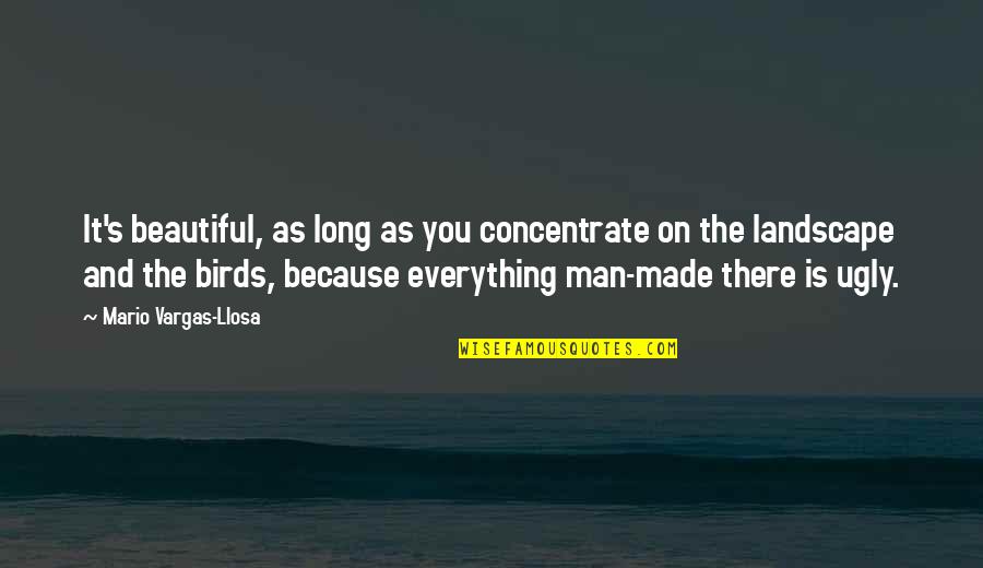 Beautiful And Ugly Quotes By Mario Vargas-Llosa: It's beautiful, as long as you concentrate on
