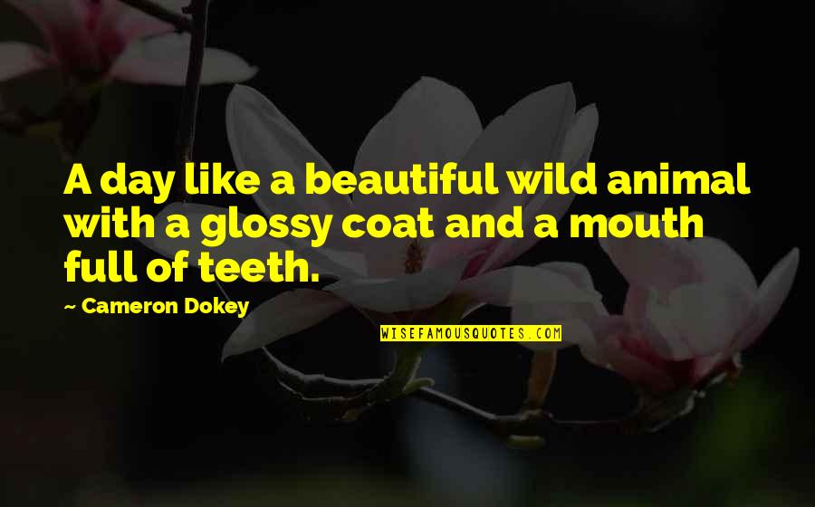 Beautiful Animal Quotes By Cameron Dokey: A day like a beautiful wild animal with