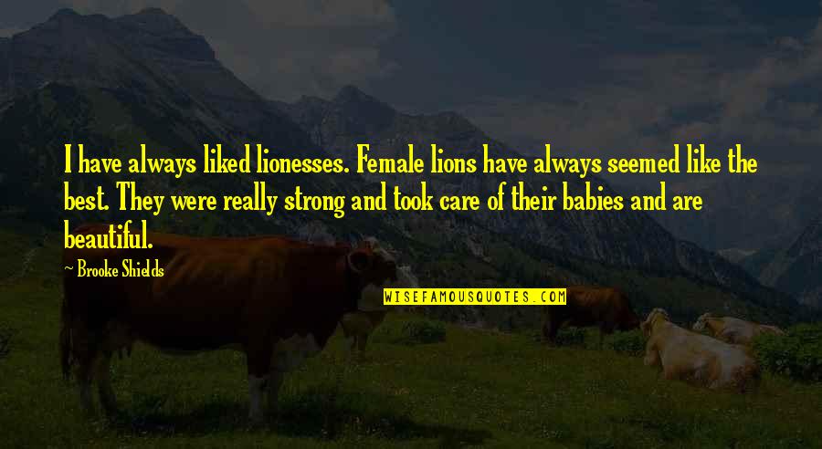 Beautiful Babies Quotes By Brooke Shields: I have always liked lionesses. Female lions have