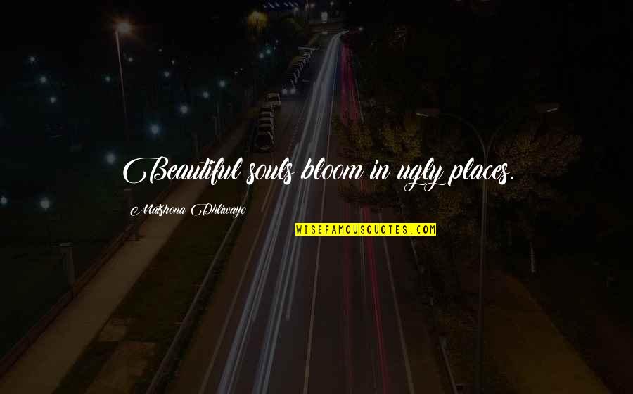 Beautiful Bloom Quotes By Matshona Dhliwayo: Beautiful souls bloom in ugly places. Beautiful Bloom Quotes By Matshona Dhliwayo: Beautiful souls bloom in ugly places.