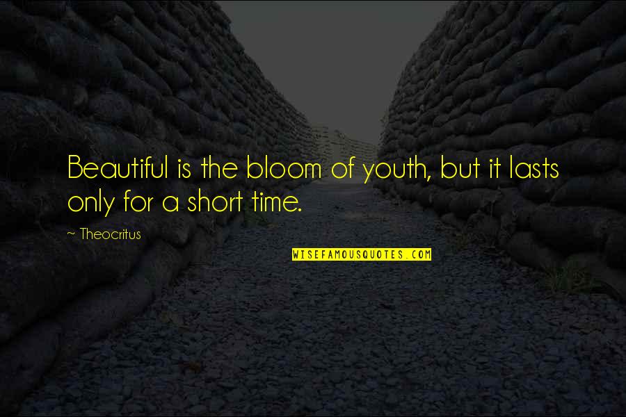 Beautiful Bloom Quotes By Theocritus: Beautiful is the bloom of youth, but it