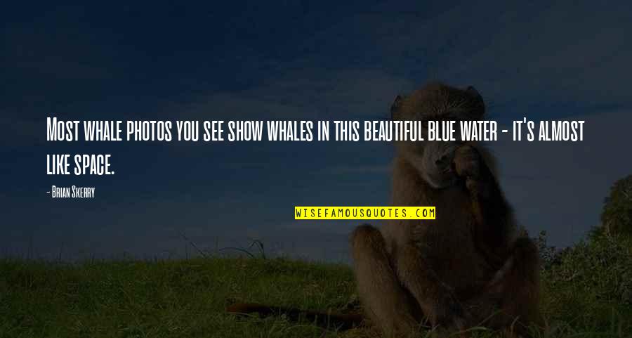 Beautiful Blue Quotes By Brian Skerry: Most whale photos you see show whales in Beautiful Blue Quotes By Brian Skerry: Most whale photos you see show whales in