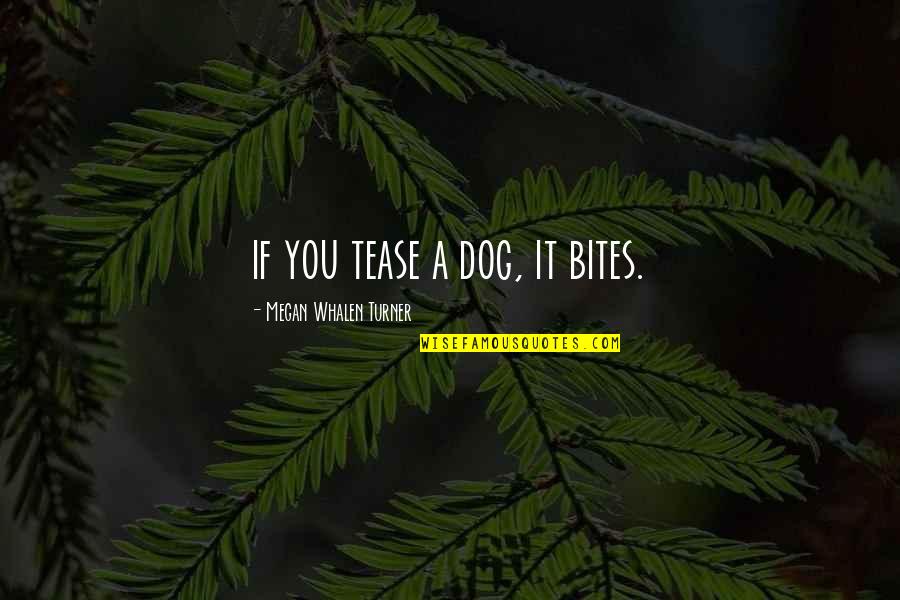 Beautiful Boho Quotes By Megan Whalen Turner: if you tease a dog, it bites.