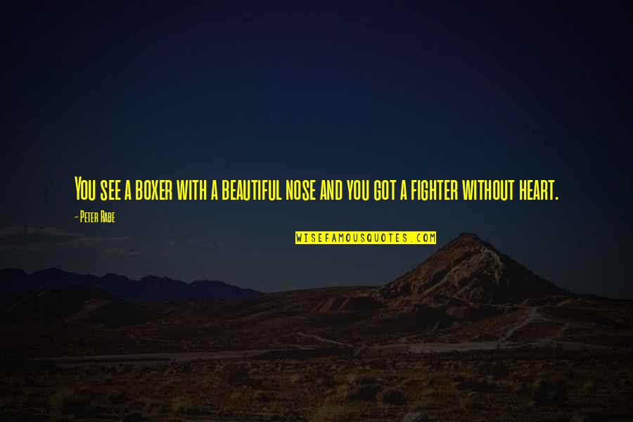 Beautiful Boxer Quotes By Peter Rabe: You see a boxer with a beautiful nose