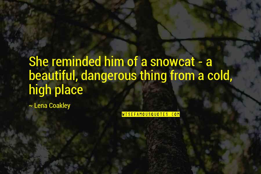 Beautiful But Dangerous Quotes By Lena Coakley: She reminded him of a snowcat - a