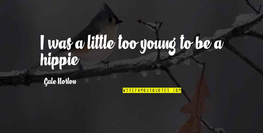 Beautiful Chinese Quotes By Gale Norton: I was a little too young to be