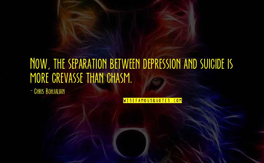 Beautiful Clear Sky Quotes By Chris Bohjalian: Now, the separation between depression and suicide is